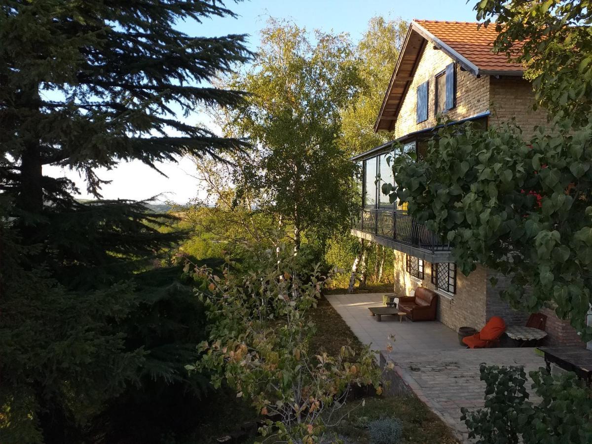 Lodging Vidmar Σρέμσκι Καρλόβτσι Εξωτερικό φωτογραφία