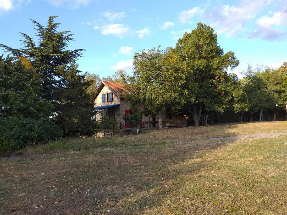 Lodging Vidmar Σρέμσκι Καρλόβτσι Εξωτερικό φωτογραφία