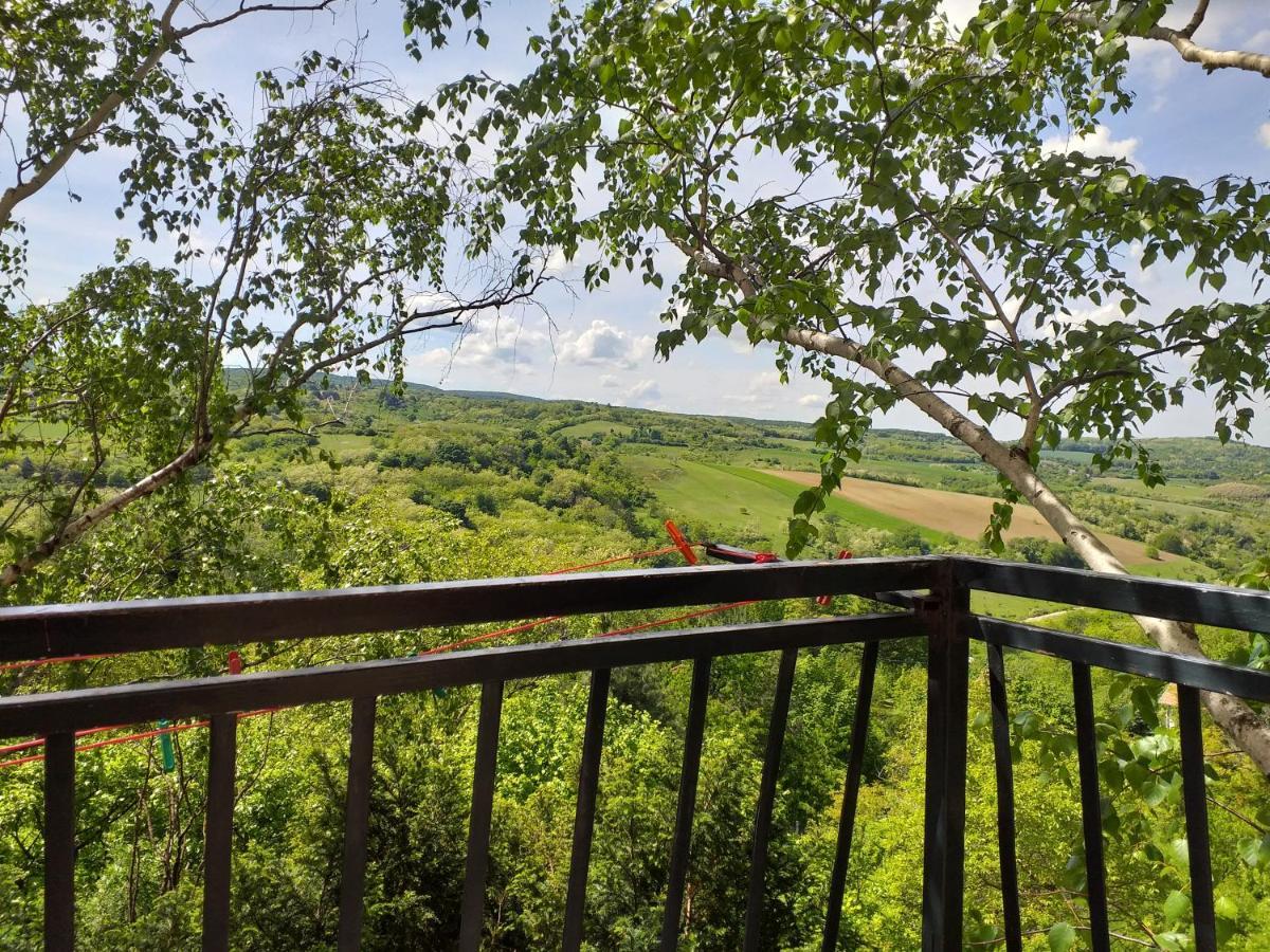 Lodging Vidmar Σρέμσκι Καρλόβτσι Εξωτερικό φωτογραφία