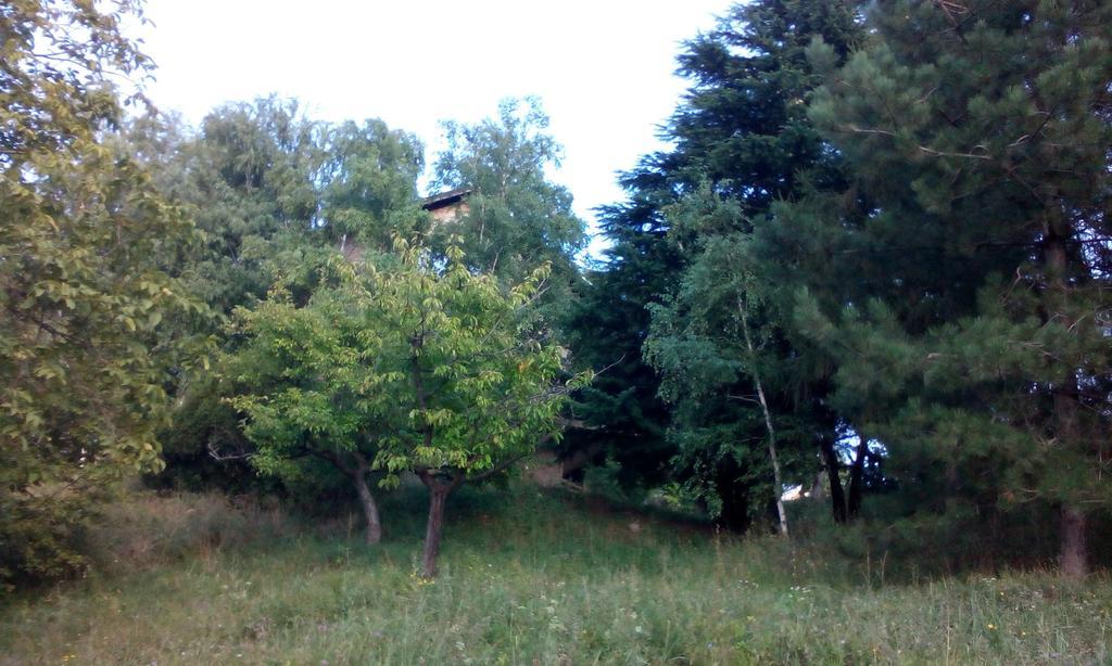 Lodging Vidmar Σρέμσκι Καρλόβτσι Δωμάτιο φωτογραφία