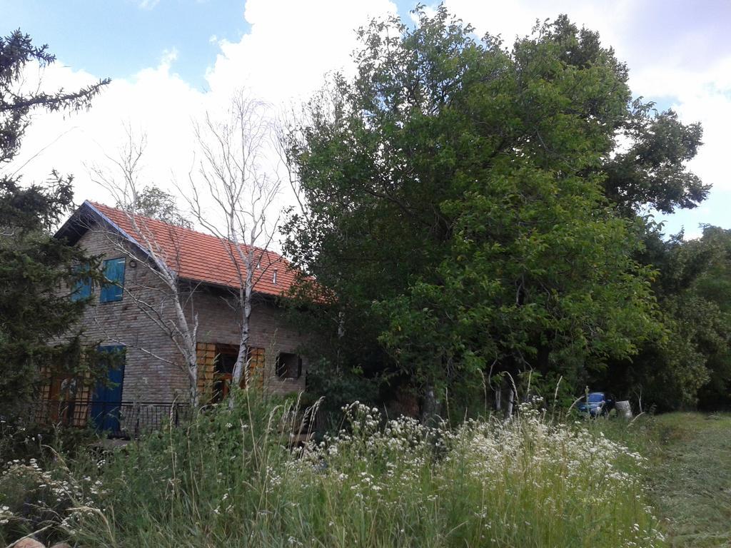 Lodging Vidmar Σρέμσκι Καρλόβτσι Εξωτερικό φωτογραφία