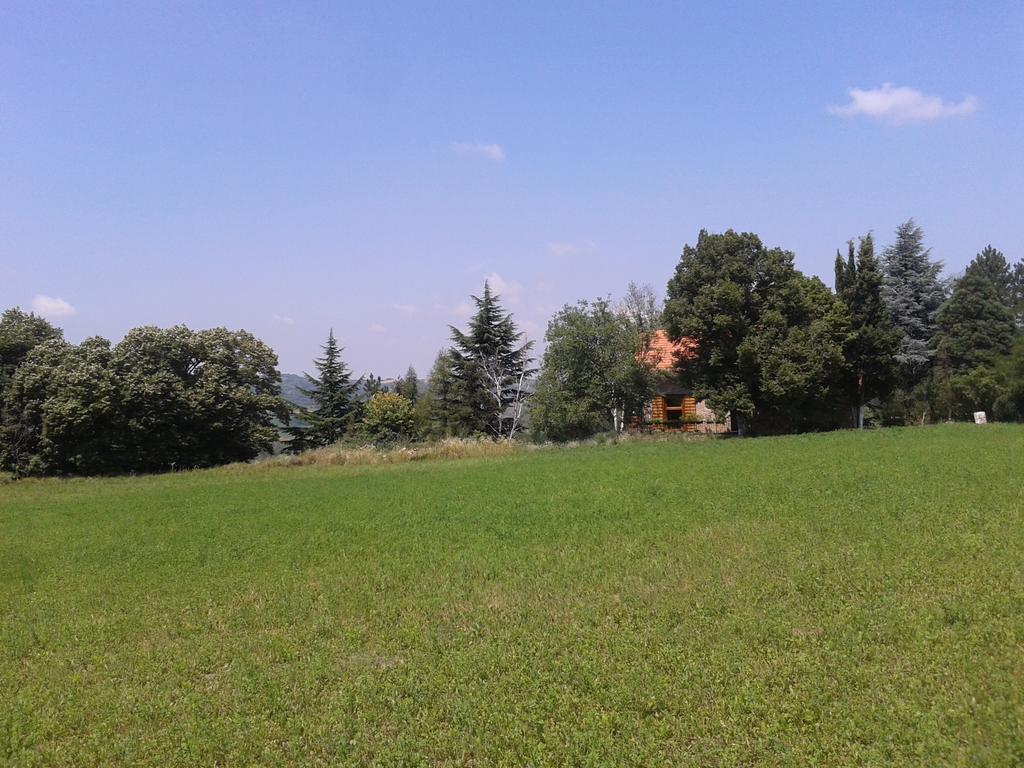 Lodging Vidmar Σρέμσκι Καρλόβτσι Δωμάτιο φωτογραφία