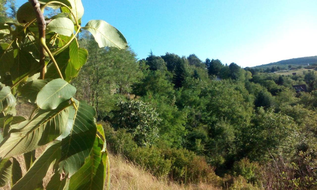 Lodging Vidmar Σρέμσκι Καρλόβτσι Εξωτερικό φωτογραφία