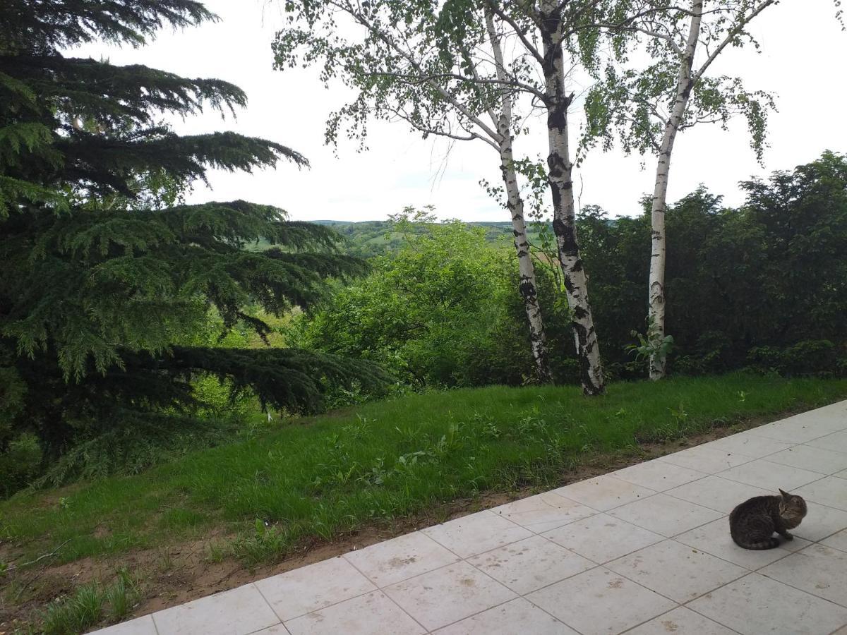 Lodging Vidmar Σρέμσκι Καρλόβτσι Εξωτερικό φωτογραφία